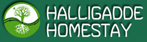 Halligadde